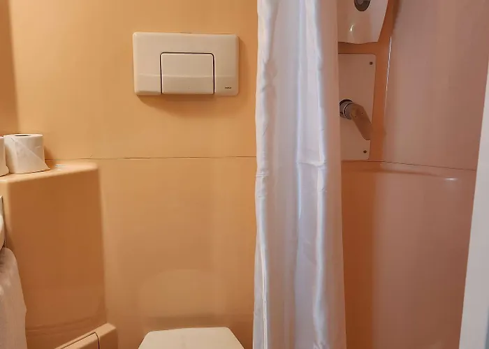 プレミア　クラッセ　ロワシー　cdg - パリ　ノール　2 - パルク　デ　ゼクスポジション 2*